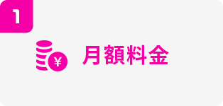 月額料金
